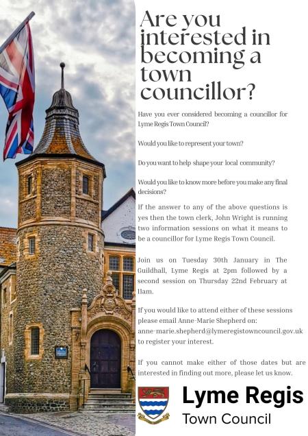 Are you interested in becoming a town councillor?